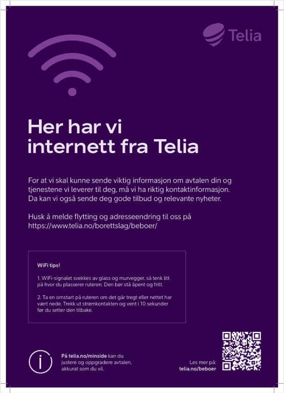 TV og Internett